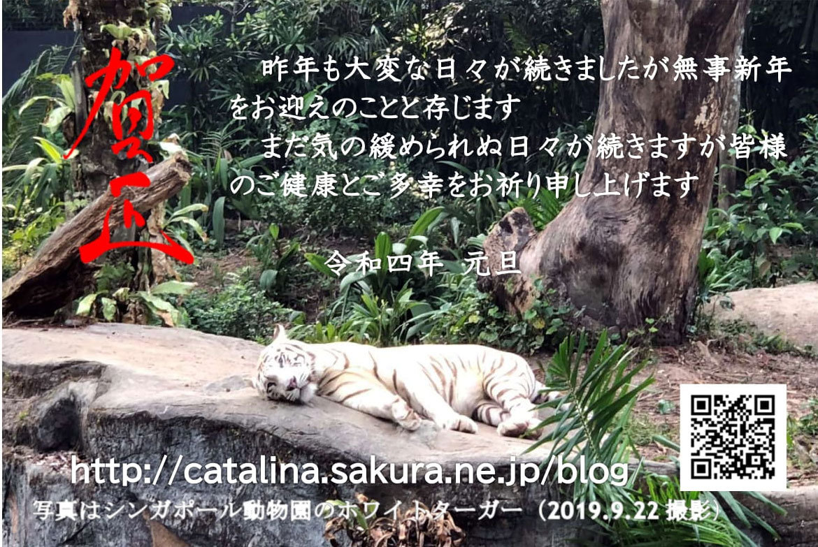 http://catalina.sakura.ne.jp/blog/images/2022gantan-1.jpg
