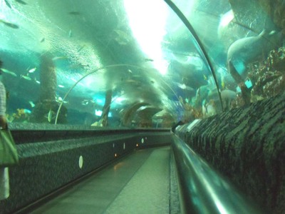 underwaterworld03.jpg