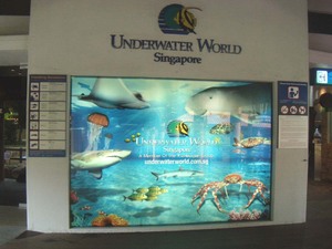underwaterworld05.jpg