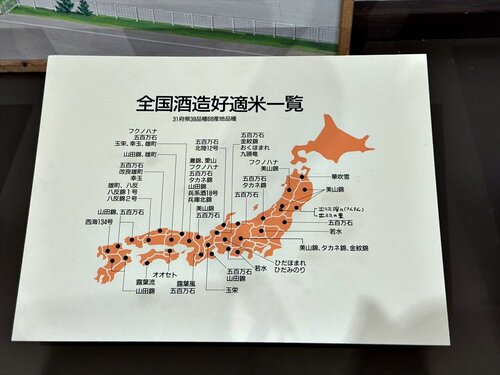 2025yamagata202.JPG