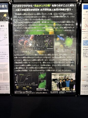 2025yamagata217.JPG