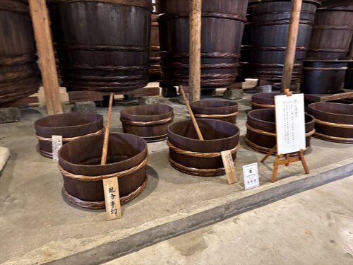 2025yamagata263.JPG