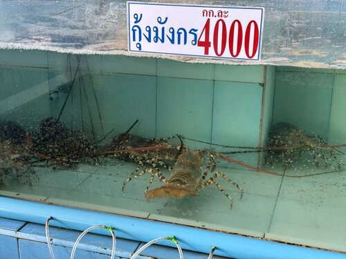 25thailand94.JPG