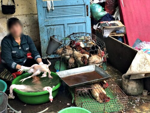 hanoi108.JPG