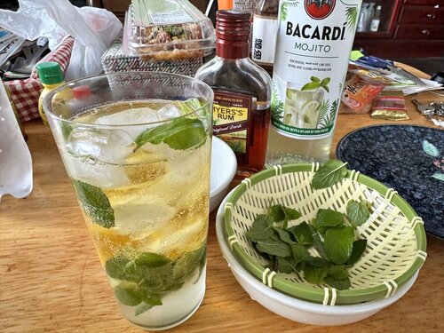 mojito04.JPG