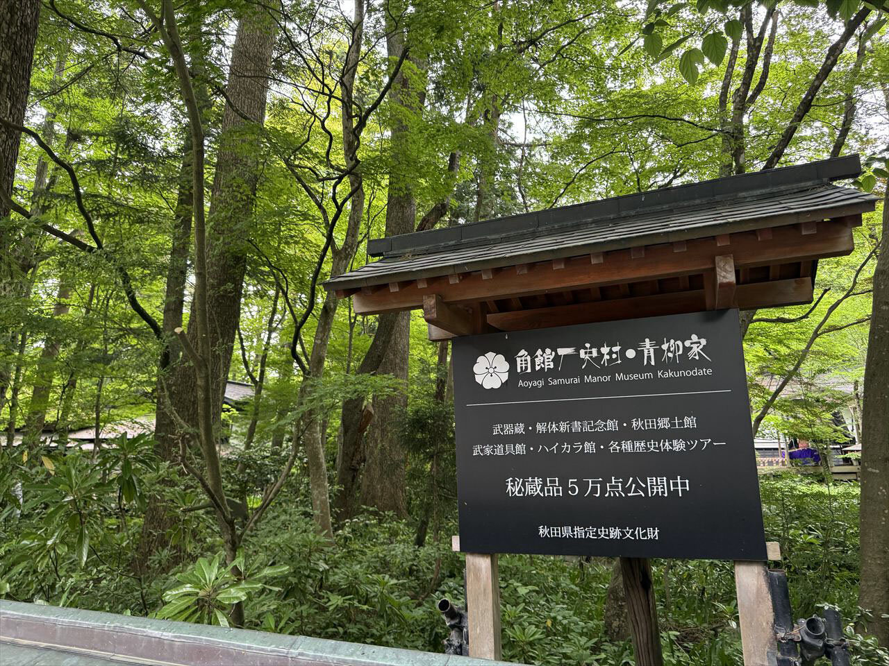 https://catalina.sakura.ne.jp/blog/images/2025akita107.JPG