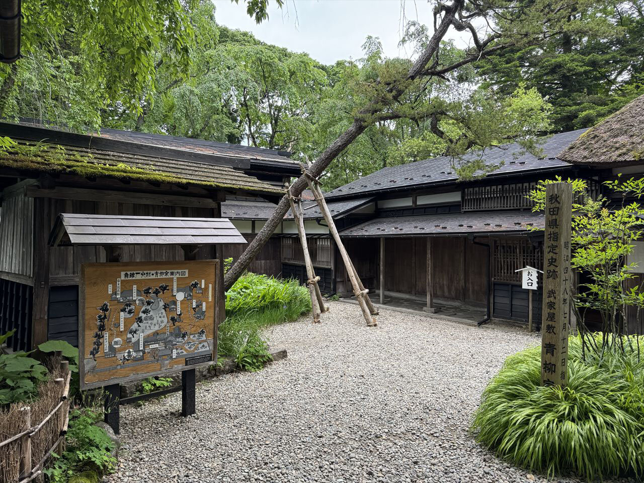 https://catalina.sakura.ne.jp/blog/images/2025akita108.JPG