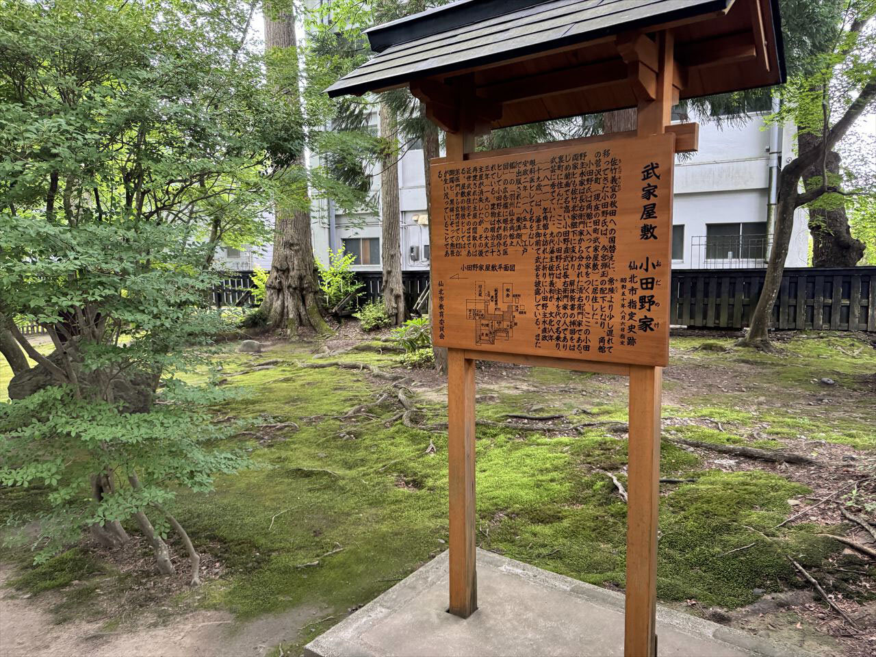 https://catalina.sakura.ne.jp/blog/images/2025akita132.JPG