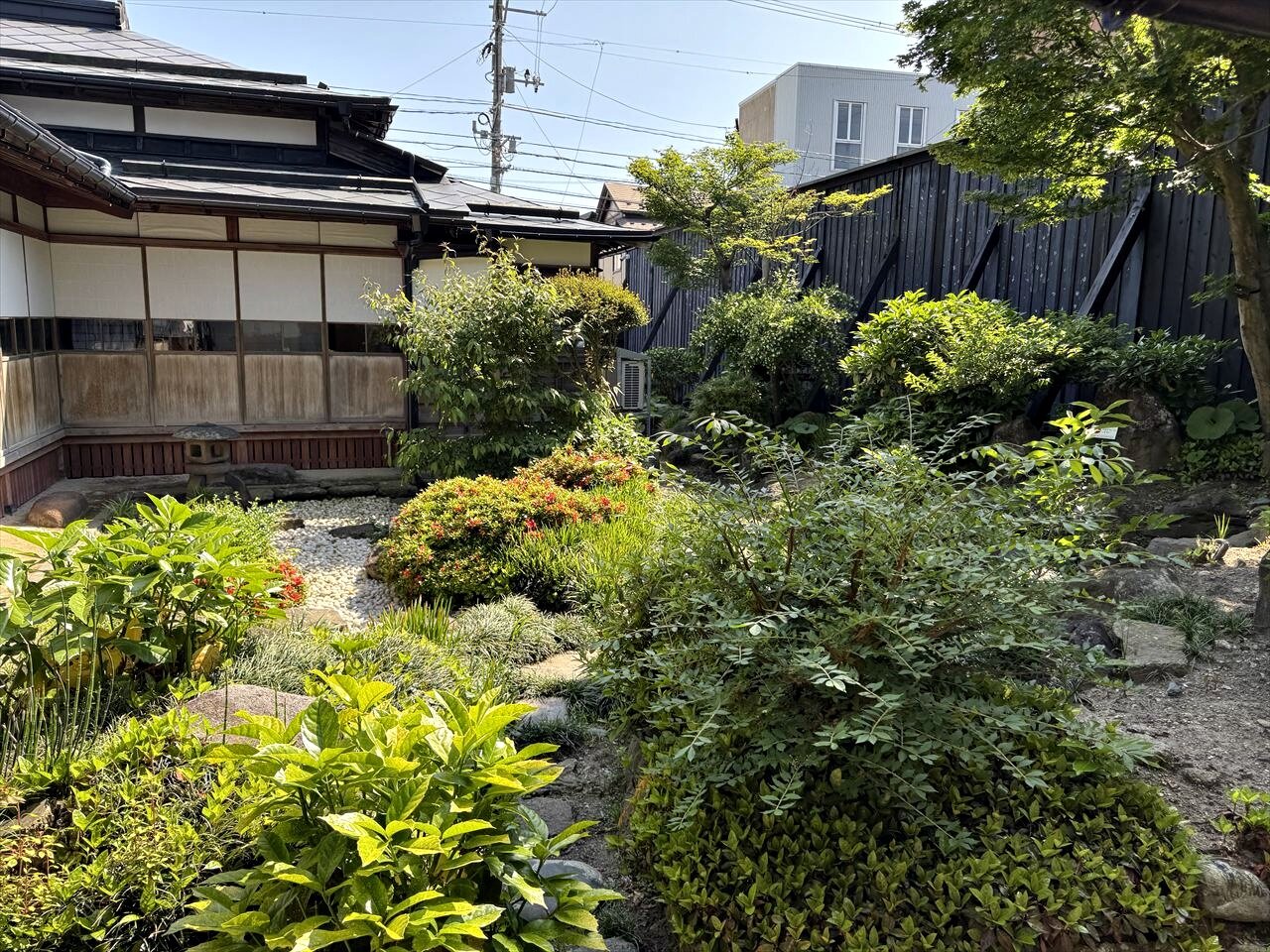 https://catalina.sakura.ne.jp/blog/images/2025akita35.JPG