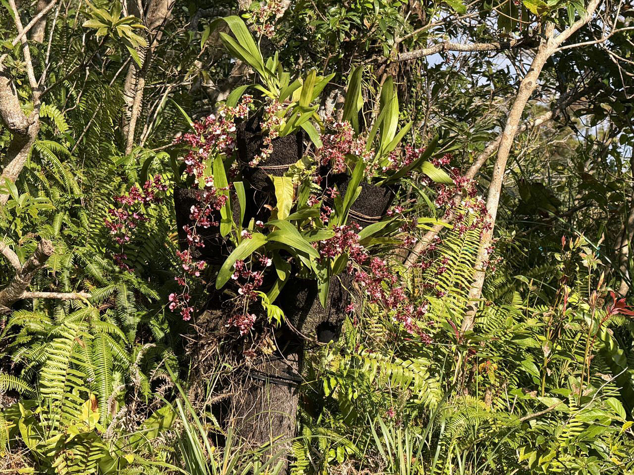 https://catalina.sakura.ne.jp/blog/images/2025okinawa113.JPG