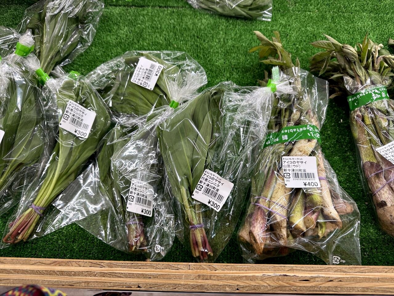 https://catalina.sakura.ne.jp/blog/images/2025sansai08.JPG