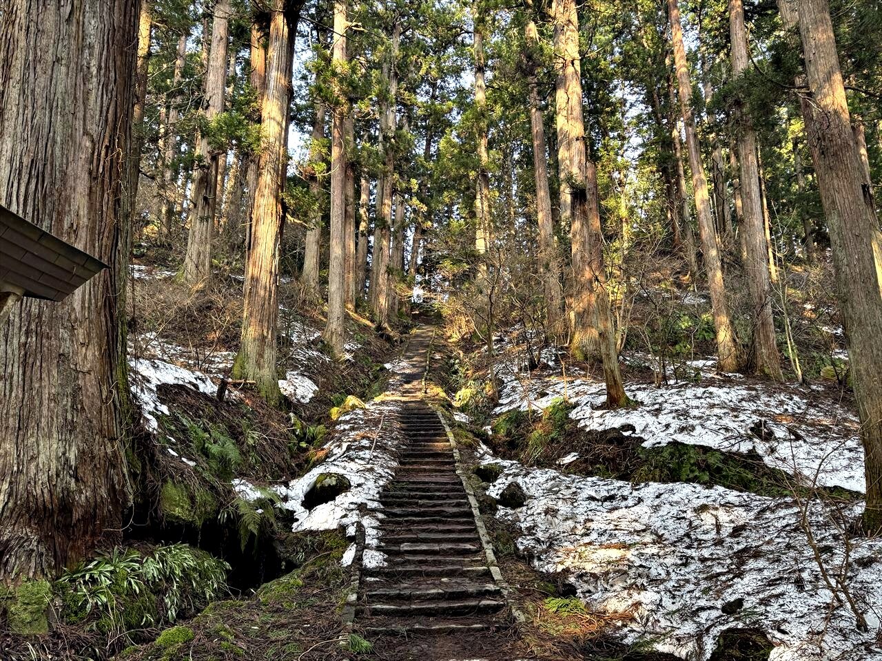 https://catalina.sakura.ne.jp/blog/images/2025yamagata173.JPG