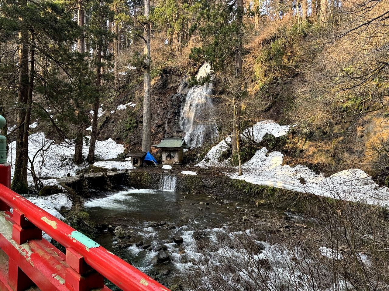 https://catalina.sakura.ne.jp/blog/images/2025yamagata174.JPG