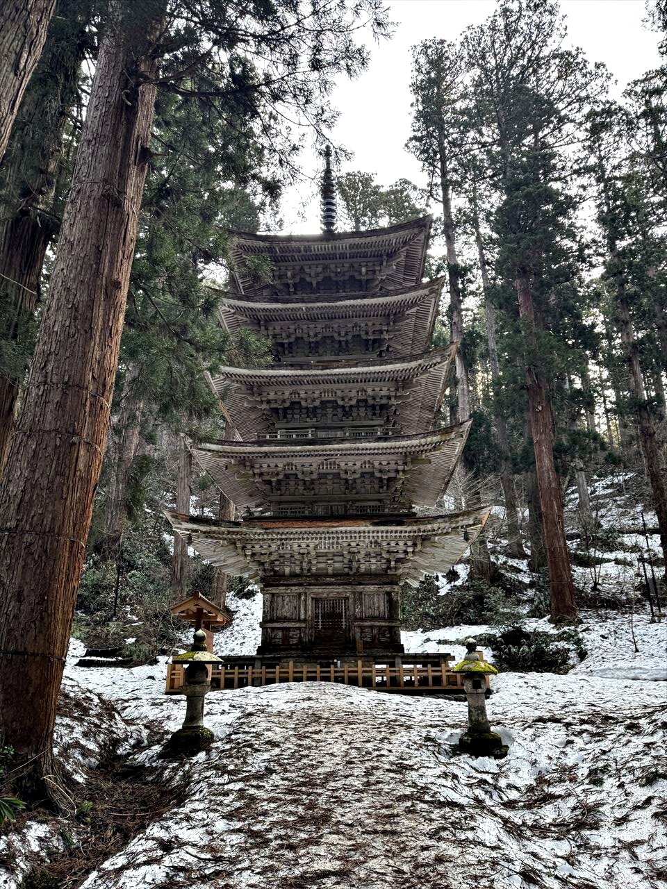 https://catalina.sakura.ne.jp/blog/images/2025yamagata176.JPG