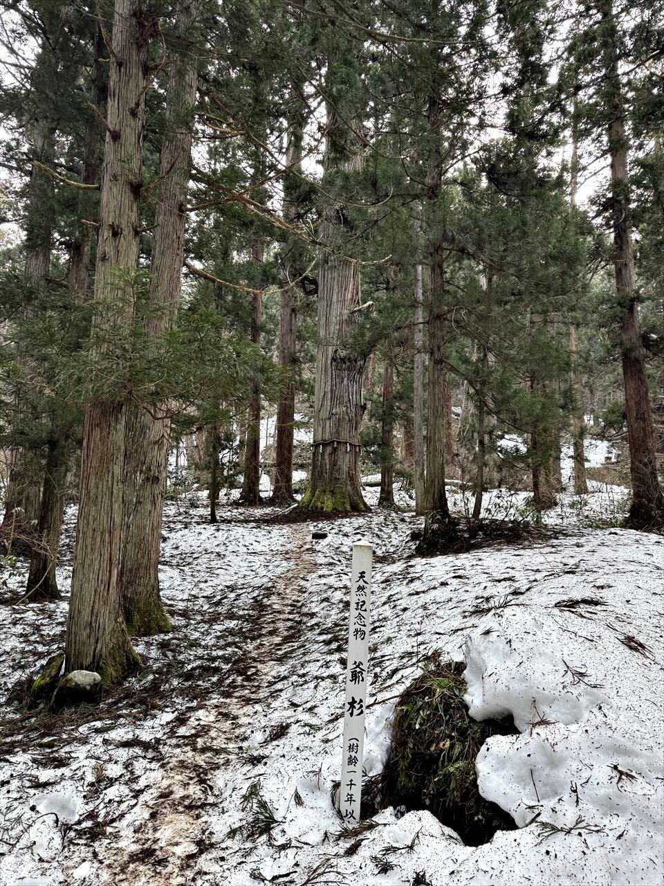 https://catalina.sakura.ne.jp/blog/images/2025yamagata177.JPG