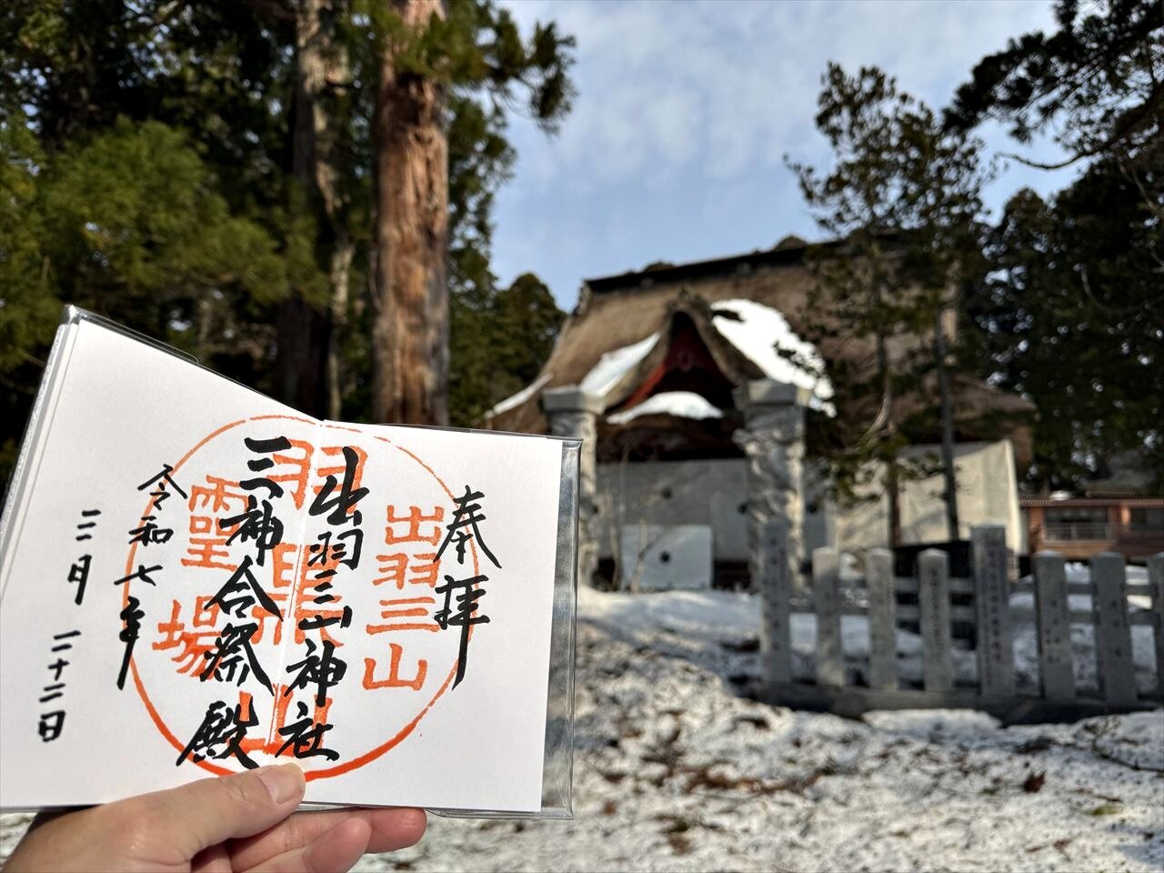 https://catalina.sakura.ne.jp/blog/images/2025yamagata181.JPG