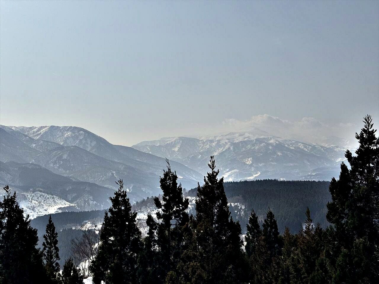 https://catalina.sakura.ne.jp/blog/images/2025yamagata182.JPG