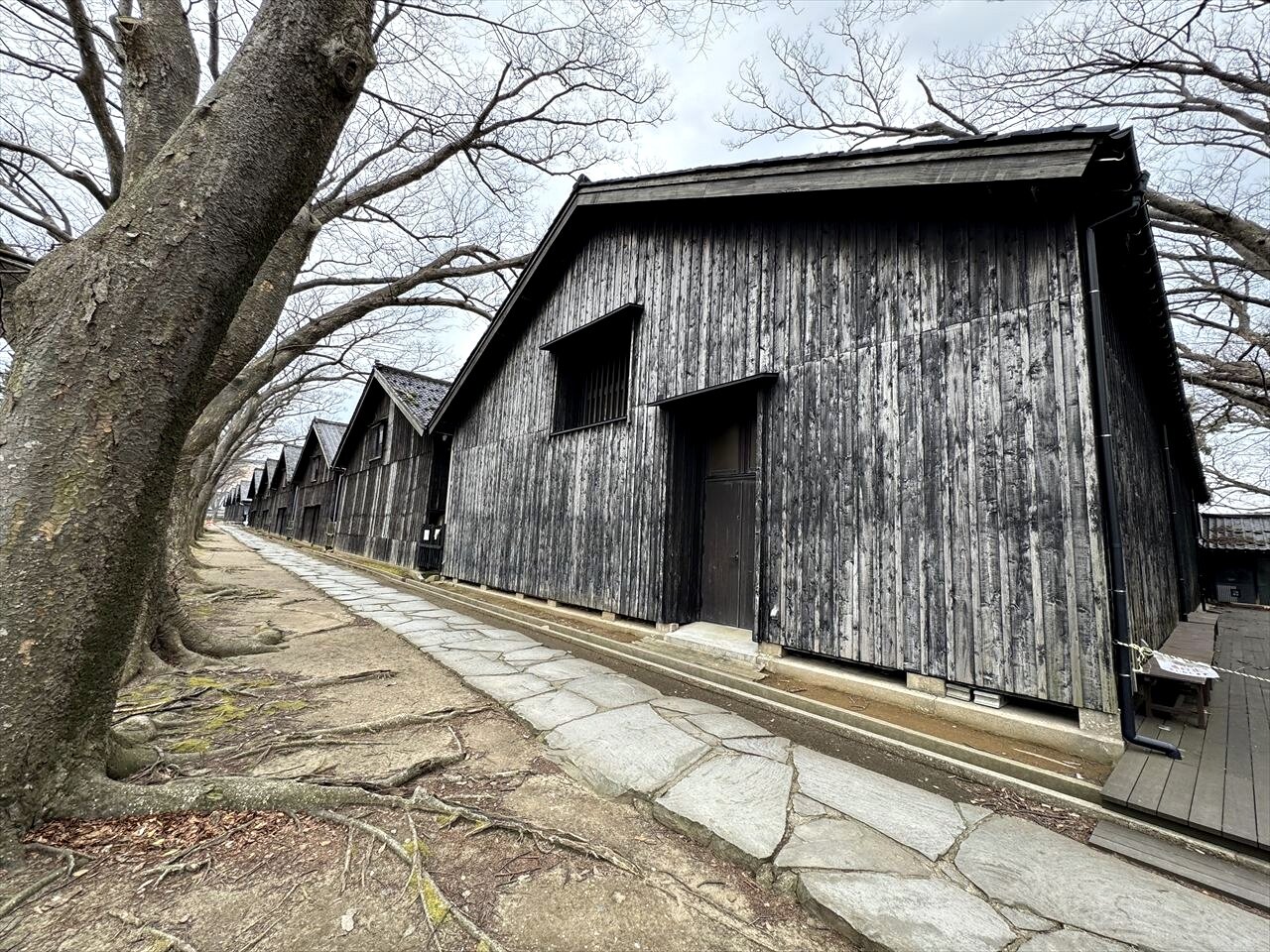 https://catalina.sakura.ne.jp/blog/images/2025yamagata184.JPG