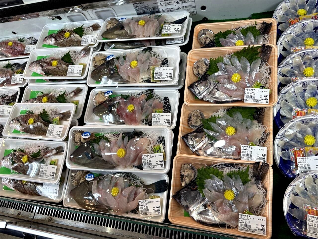 https://catalina.sakura.ne.jp/blog/images/2025yamagata191.JPG
