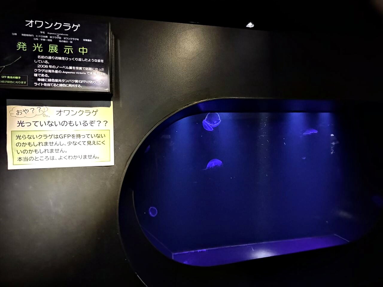 https://catalina.sakura.ne.jp/blog/images/2025yamagata215.JPG