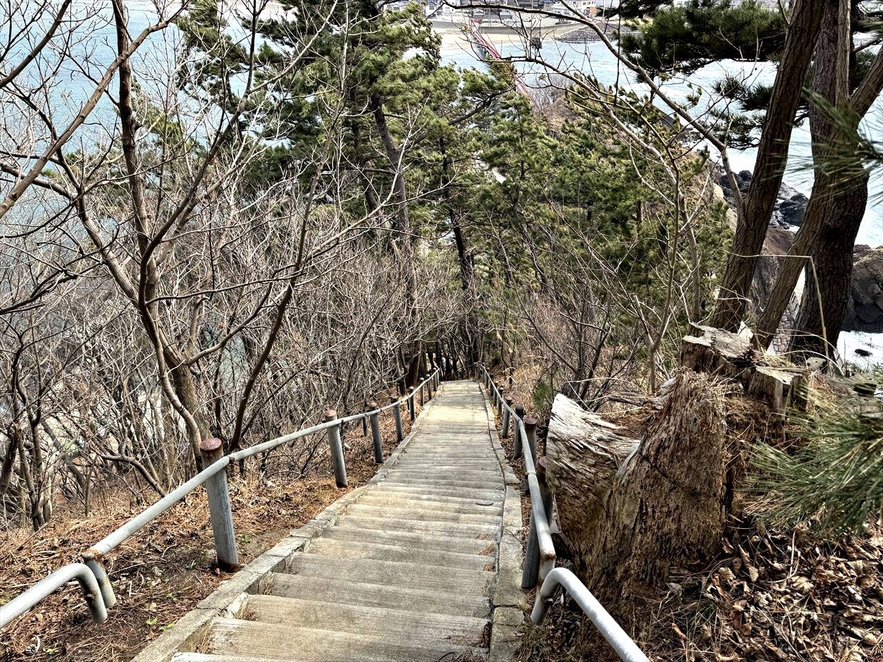 https://catalina.sakura.ne.jp/blog/images/2025yamagata223.JPG