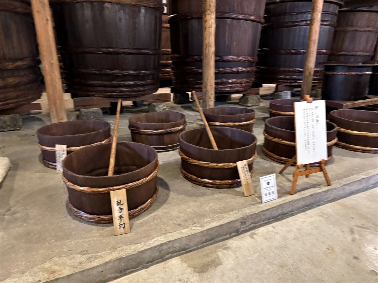 https://catalina.sakura.ne.jp/blog/images/2025yamagata263.JPG
