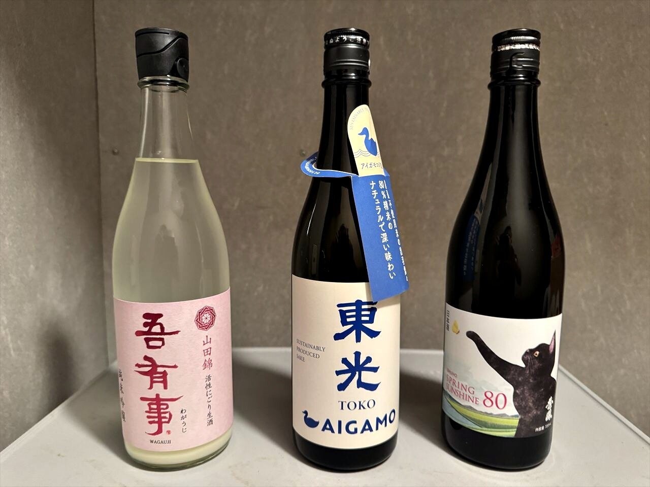 https://catalina.sakura.ne.jp/blog/images/2025yamagata286.JPG