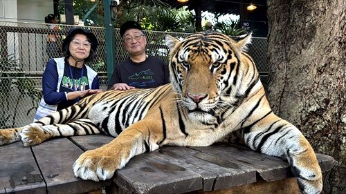 https://catalina.sakura.ne.jp/blog/images/25thailand00.JPG