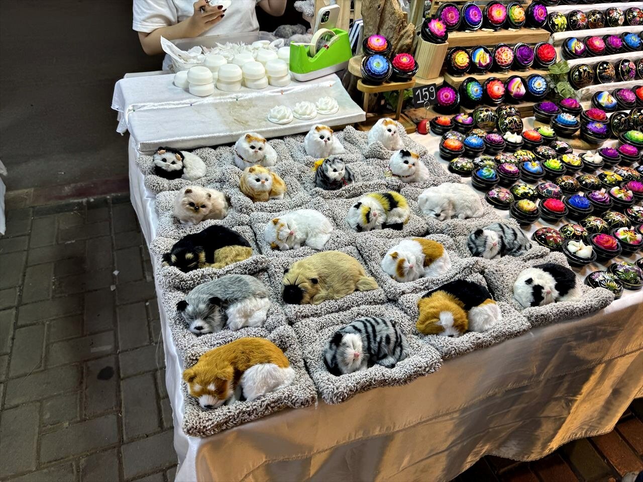 https://catalina.sakura.ne.jp/blog/images/25thailand250.JPG