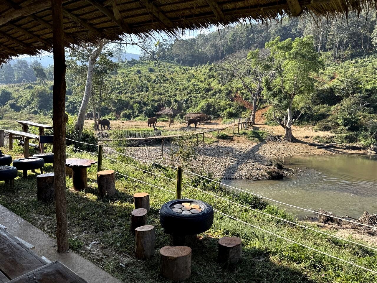 https://catalina.sakura.ne.jp/blog/images/25thailand268.JPG