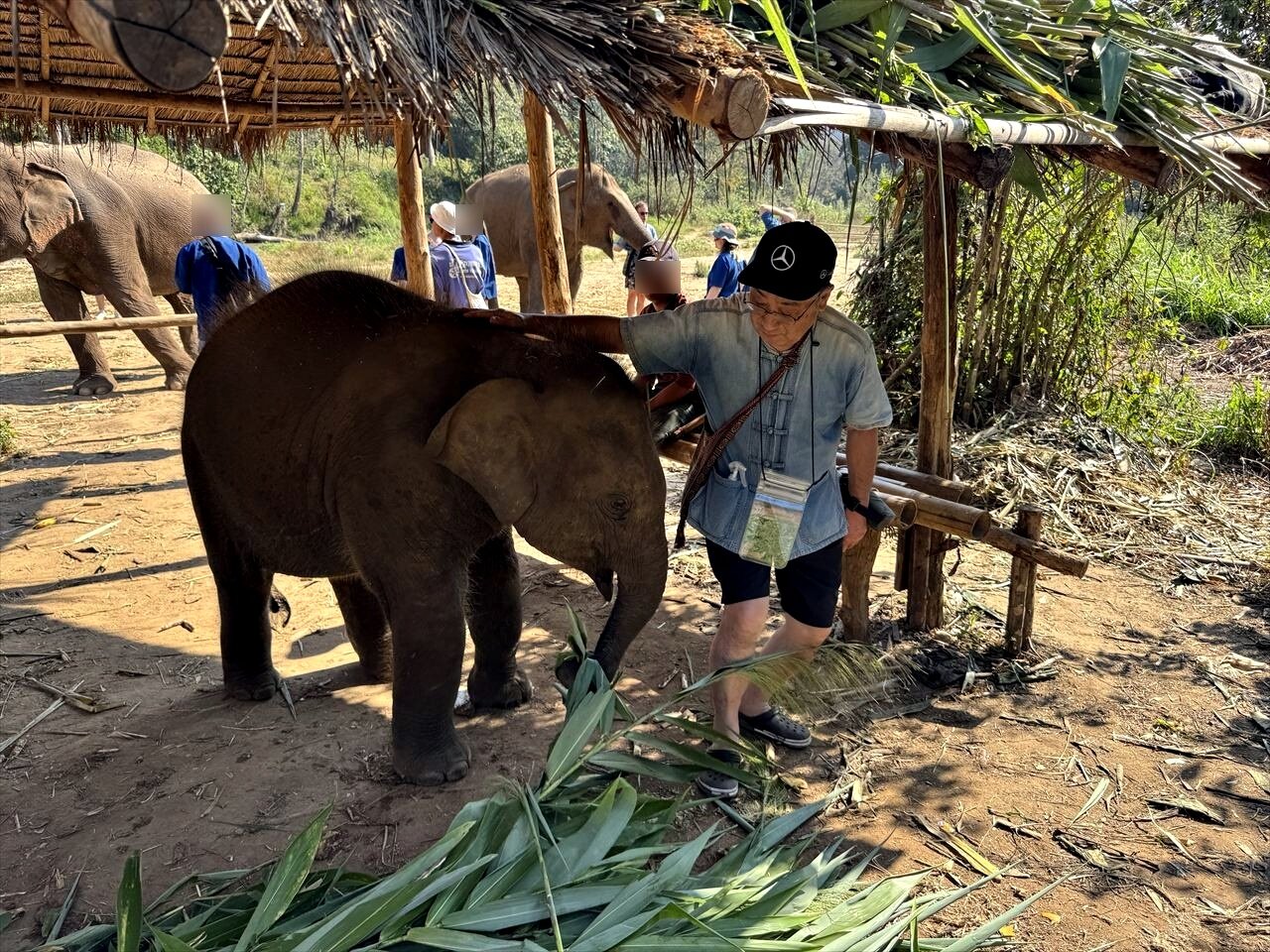 https://catalina.sakura.ne.jp/blog/images/25thailand270.JPG