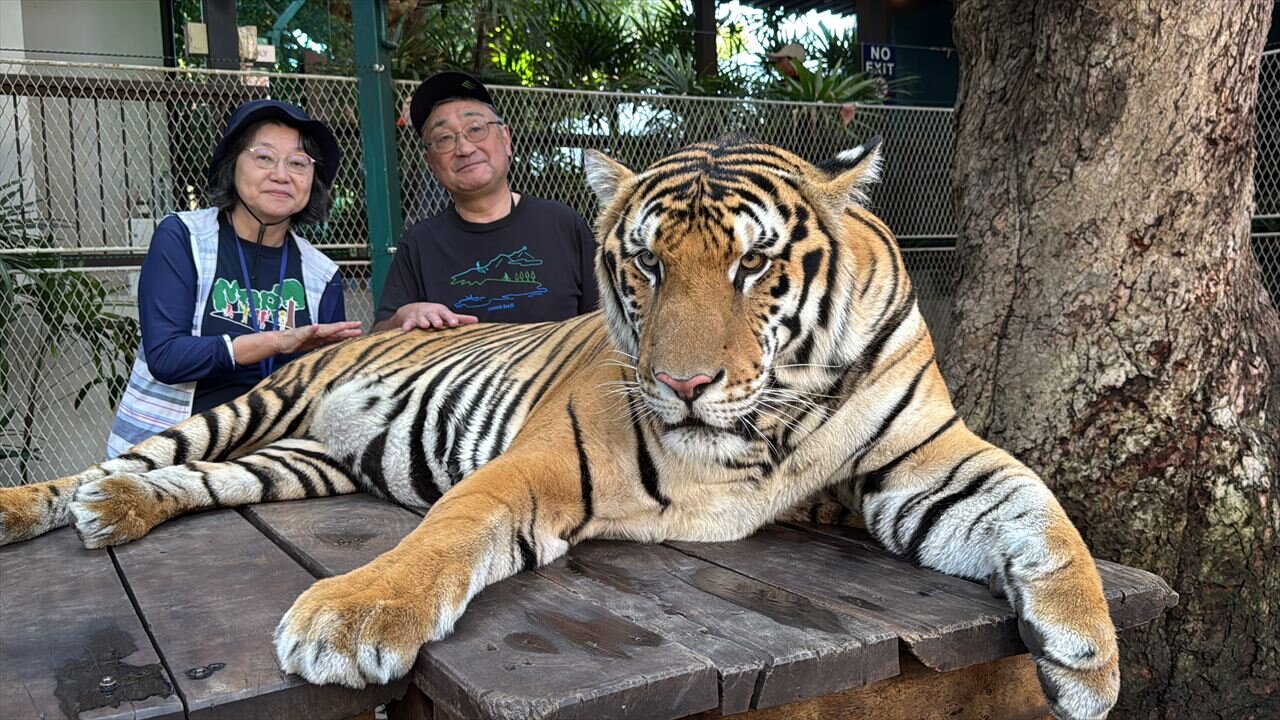 https://catalina.sakura.ne.jp/blog/images/25thailand407.JPG