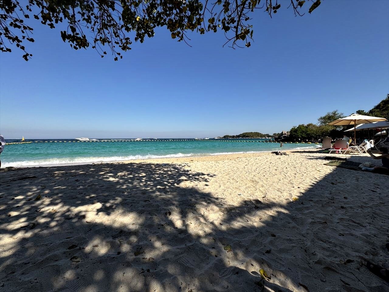https://catalina.sakura.ne.jp/blog/images/25thailand71.JPG