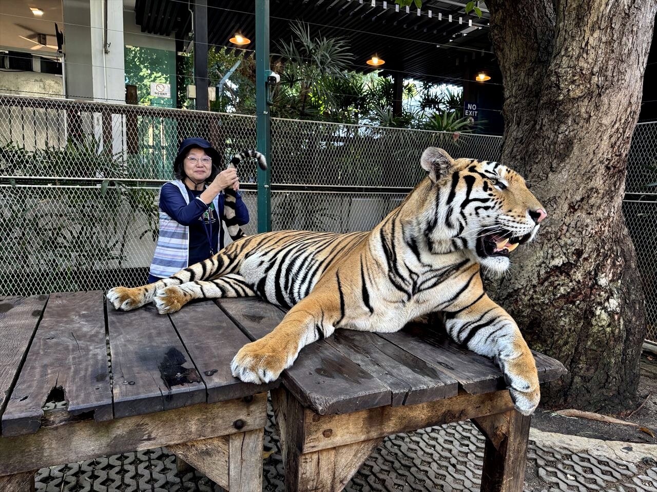 https://catalina.sakura.ne.jp/blog/images/25thailand89.JPG