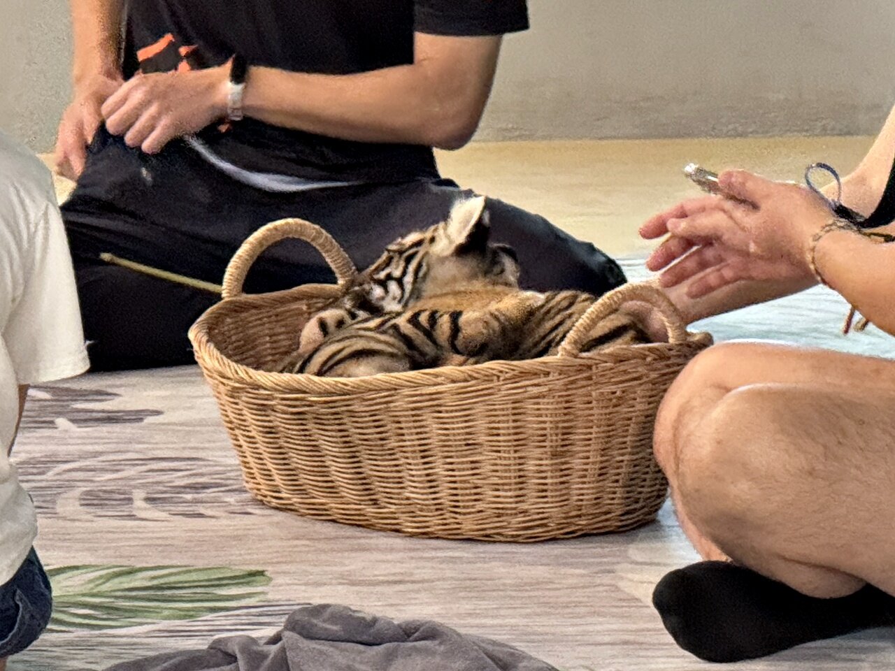 https://catalina.sakura.ne.jp/blog/images/25thailand90.JPG