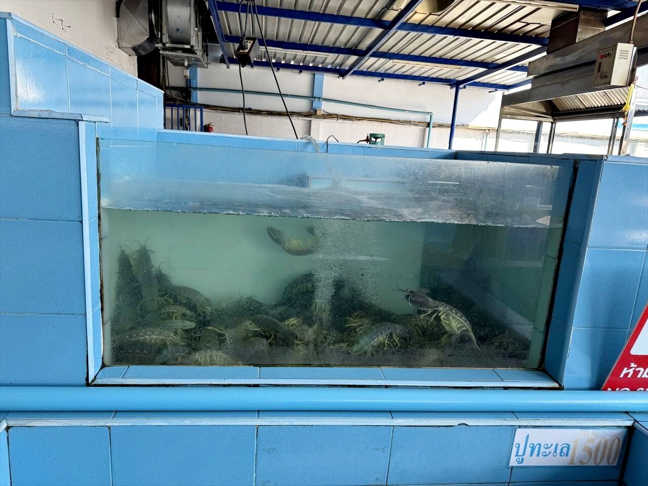 https://catalina.sakura.ne.jp/blog/images/25thailand95.JPG