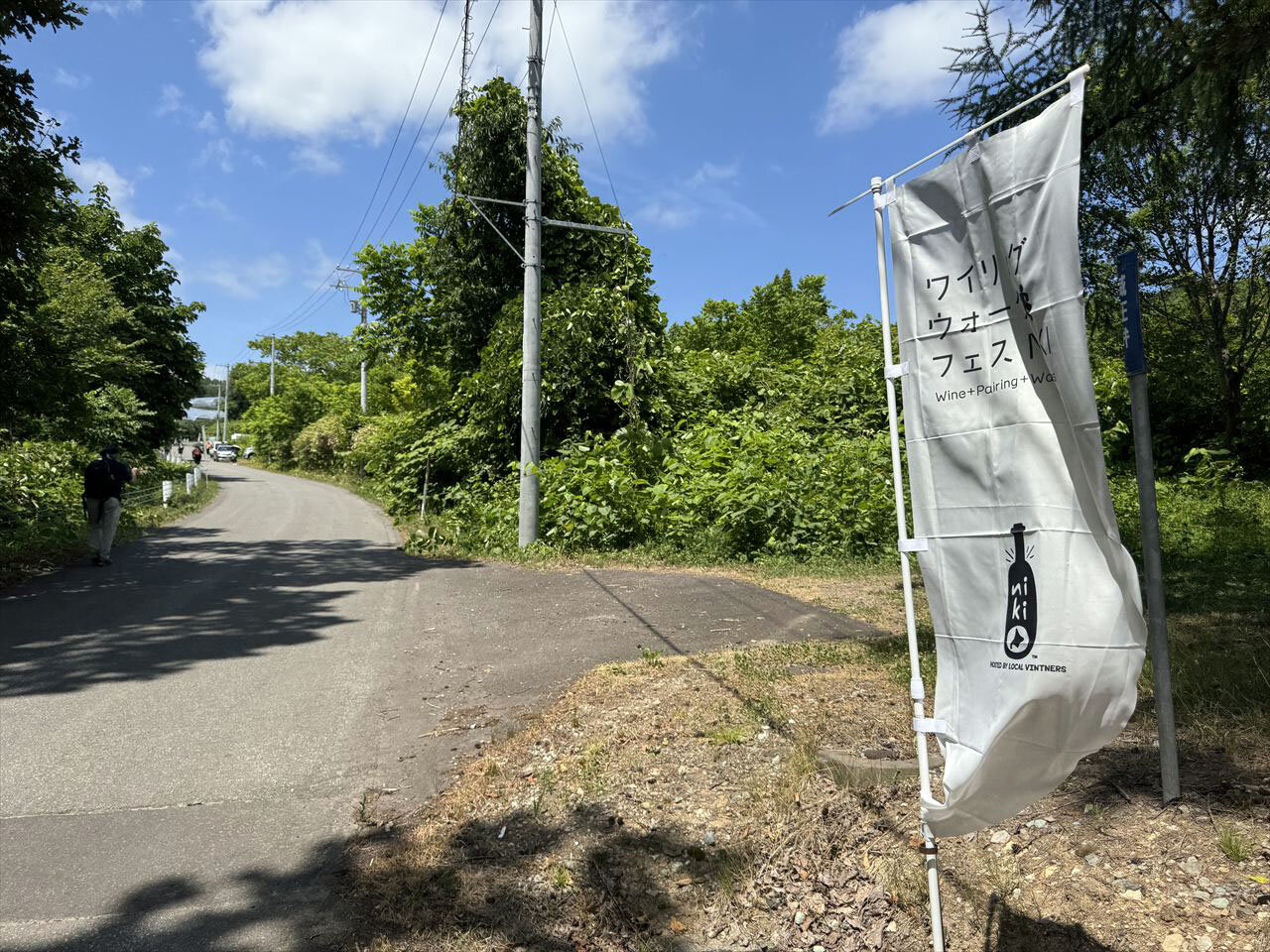 https://catalina.sakura.ne.jp/blog/images/WPWF_niki49.JPG