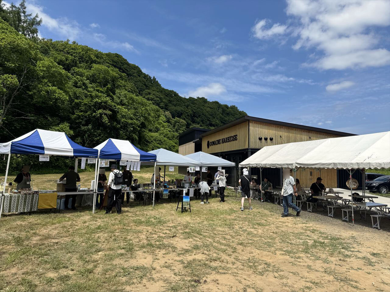 https://catalina.sakura.ne.jp/blog/images/WPWF_niki64.JPG