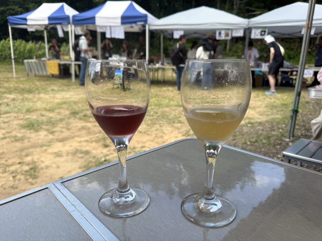 https://catalina.sakura.ne.jp/blog/images/WPWF_niki67.JPG