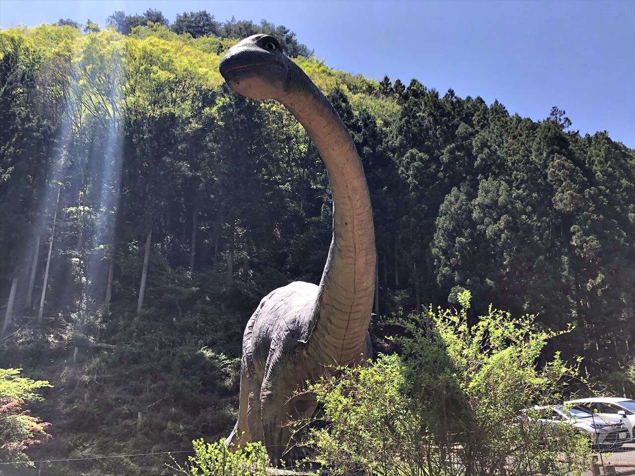 https://catalina.sakura.ne.jp/blog/images/dinosaur-land00.JPG