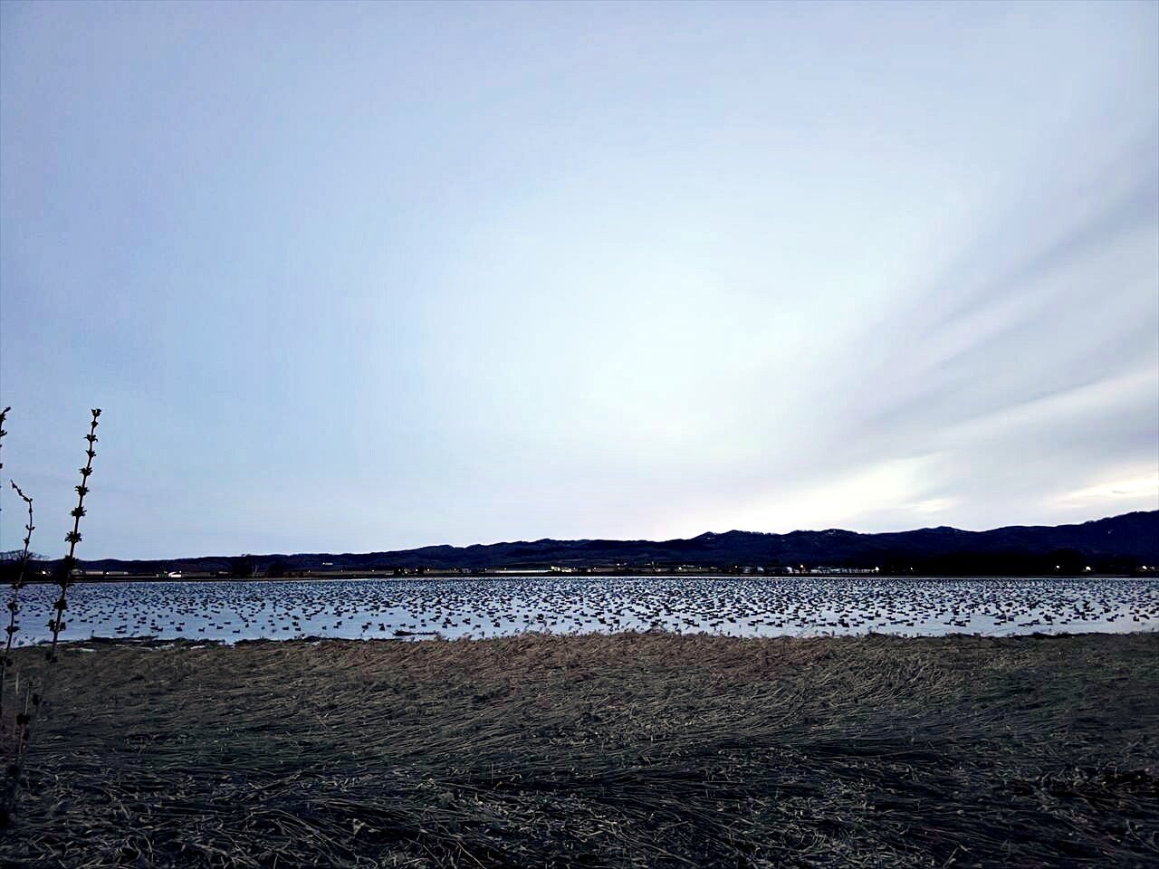 https://catalina.sakura.ne.jp/blog/images/miyajimanuma11.JPG